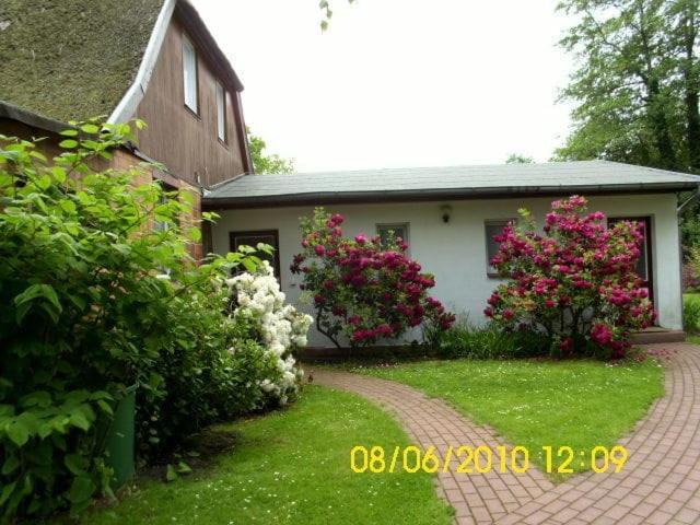 Ferienwohnung "Kleine Deichperle" 普雷罗 外观 照片